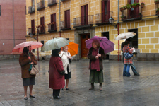 Femmes avec des parapluies
