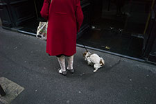 femme-chien